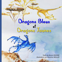 Dragons Bleus et Dragons Jaunes - Bruno Rivoire - Hörbuch