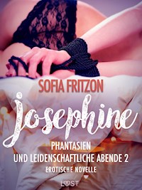 Josephine: Phantasien und leidenschaftliche Abende 2 - Erotische Novelle - Sofia Fritzson - E-Book