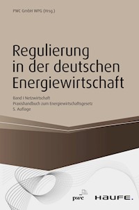 Regulierung in der deutschen Energiewirtschaft. Band I Netzwirtschaft - PwC Düsseldorf - E-Book