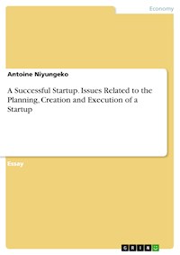 A Successful Startup. Issues Related to the Planning, Creation and Execution of a Startup - Antoine Niyungeko - E-Book
