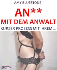An** mit dem Anwalt - Amy Bluestone - E-Book