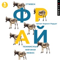 Теннисные мячики небес - Стивен Фрай - Hörbuch