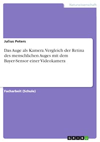 Das Auge als Kamera. Vergleich der Retina des menschlichen Auges mit dem Bayer-Sensor einer Videokamera - Julius Peters - E-Book