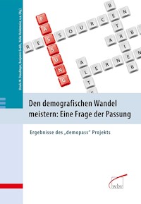 Den demografischen Wandel meistern: Eine Frage der Passung -  - E-Book