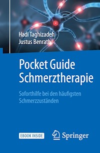 Pocket Guide Schmerztherapie - Hadi Taghizadeh - E-Book