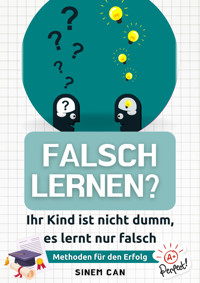 Falsch lernen? Ihr Kind ist nicht dumm, es lernt nur falsch - Sinem Can - E-Book