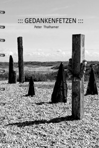 Gedankenfetzen - Peter Thalhamer - E-Book