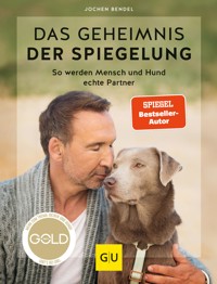 Das Geheimnis der Spiegelung - Jochen Bendel - E-Book