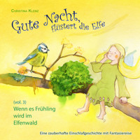 Gute Nacht, flüstert die Elfe, Vol. 3 - Christina Klenz - Hörbuch