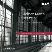 Kleiner Mann - was nun? (Gekürzt) - Hans Fallada - Hörbuch