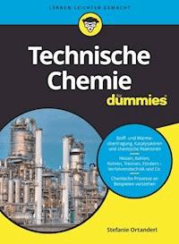 Technische Chemie für Dummies - Stefanie Ortanderl - E-Book