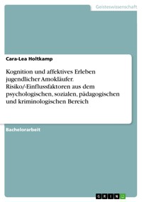 Kognition und affektives Erleben jugendlicher Amokläufer. Risiko/-Einflussfaktoren aus dem psychologischen, sozialen, pädagogischen und kriminologischen Bereich - Cara-Lea Holtkamp - E-Book