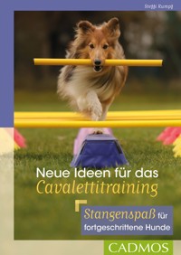 Neue Ideen für das Cavalettitraining - Steffi Rumpf - E-Book