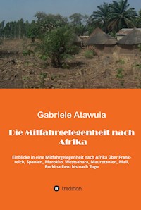 Die Mitfahrgelegenheit nach Afrika - Gabriela Atawuia - E-Book