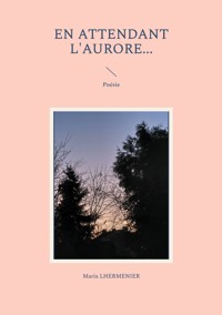 En attendant l'Aurore... - Maria Lhermenier - E-Book