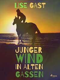 Junger Wind in alten Gassen - Lise Gast - E-Book