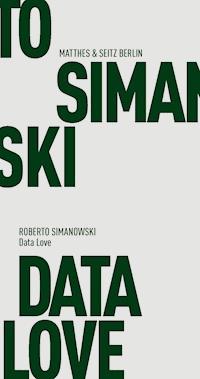 Data Love - Roberto Simanowski - E-Book