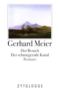 Werke Band 2: Die ersten Romane - Gerhard Meier - E-Book