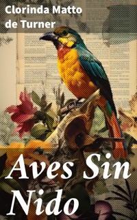 Aves Sin Nido - Clorinda Matto de Turner - E-Book