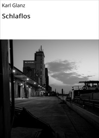 Schlaflos - karl glanz - E-Book