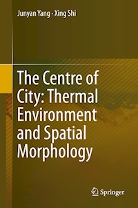 The Centre of City: Thermal Environment and Spatial Morphology - Junyan Yang - E-Book