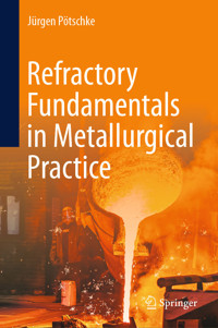 Refractory Fundamentals in Metallurgical Practice - Jürgen Pötschke - E-Book