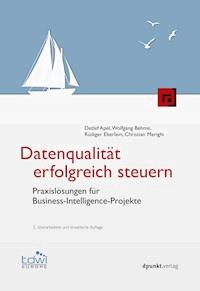 Datenqualität erfolgreich steuern - Detlef Apel - E-Book