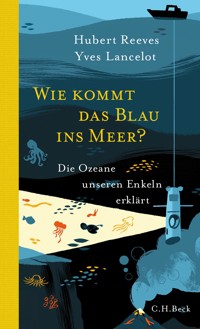 Wie kommt das Blau ins Meer? - Hubert Reeves - E-Book
