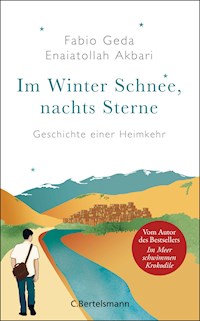 Im Winter Schnee, nachts Sterne. Geschichte einer Heimkehr - Fabio Geda - E-Book
