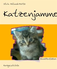 Katzenjammer - Silvia Holland-Moritz - E-Book