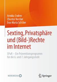 Sexting, Privatsphäre und (Bild-) Rechte im Internet - Annika Endres - E-Book