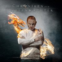 Die Erlösung - Die Chroniken der Seelenwächter, Band 12 (ungekürzt) - Nicole Böhm - Hörbuch