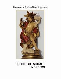 Frohe Botschaft in Bildern - Hermann Rieke-Benninghaus - E-Book