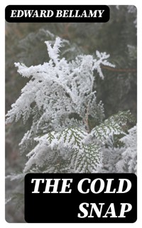 The Cold Snap - Bellamy Edward - E-Book