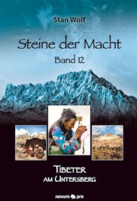 Steine der Macht – Band 12 - Stan Wolf - E-Book