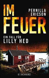 Im Feuer - Pernilla Ericson - E-Book