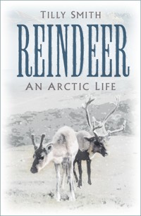 Reindeer - Tilly Smith - E-Book