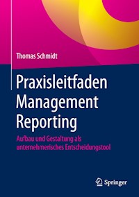 Praxisleitfaden Management Reporting - Thomas Schmidt - E-Book