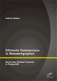 Effiziente Datenanalyse in Netzwerkgraphen: Durch User Defined Functions in PostgreSQL - Andreas Redmer - E-Book