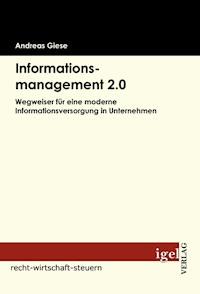 Informationsmanagement 2.0 - Andreas Giese - E-Book