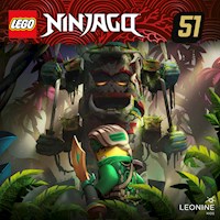 Folgen 161-165: Die geheime Insel -  - Hörbuch