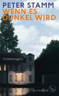 Wenn es dunkel wird - Peter Stamm - E-Book