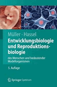 Entwicklungsbiologie und Reproduktionsbiologie des Menschen und bedeutender Modellorganismen - Werner Müller - E-Book