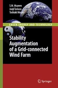Stability Augmentation of a Grid-connected Wind Farm - S. M. Muyeen - E-Book