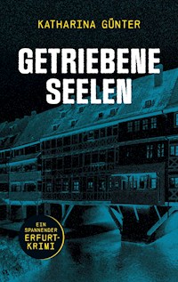 Getriebene Seelen - Katharina Günter - E-Book