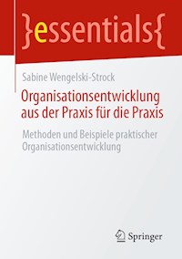 Organisationsentwicklung aus der Praxis für die Praxis - Sabine Wengelski-Strock - E-Book