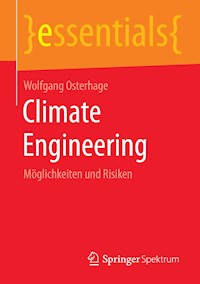 Climate Engineering - Wolfgang Osterhage - E-Book