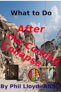 What to Do After the Coming Collapse - Phil Lloyd - E-Book