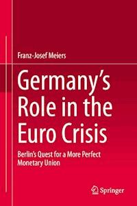 Germany’s Role in the Euro Crisis - Franz-Josef Meiers - E-Book
