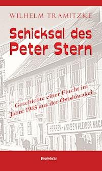 Schicksal des Peter Stern - Wilhelm Tramitzke - E-Book
